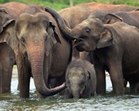 820465-1372559962-main