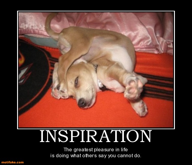 inspiration