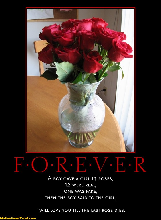 forever-roses-girl-fake-last-motivational-1323842774