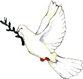 Peace_dove2