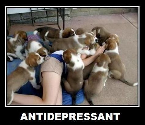 antidepressant