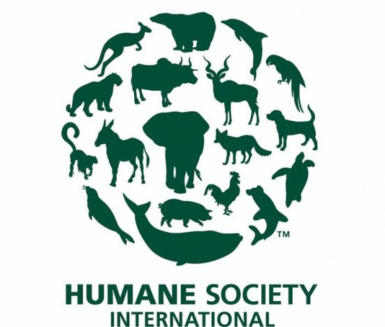 HSI-logo