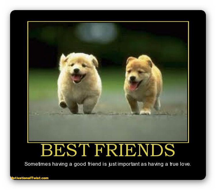 Best-Friends