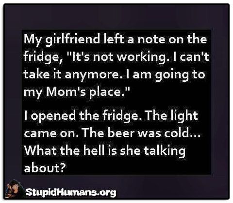 Fridge-stupid-humans___