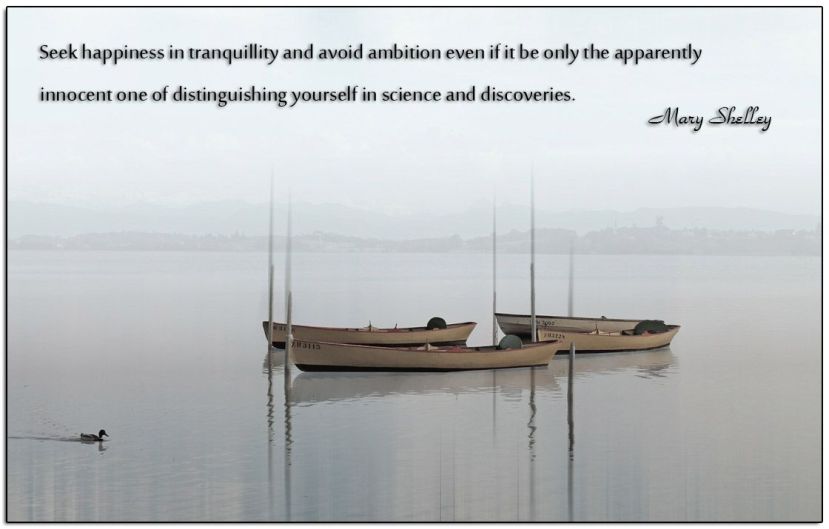 Happiness-in-Tranquillity