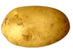 potato