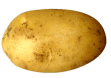potato