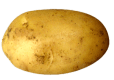 potato
